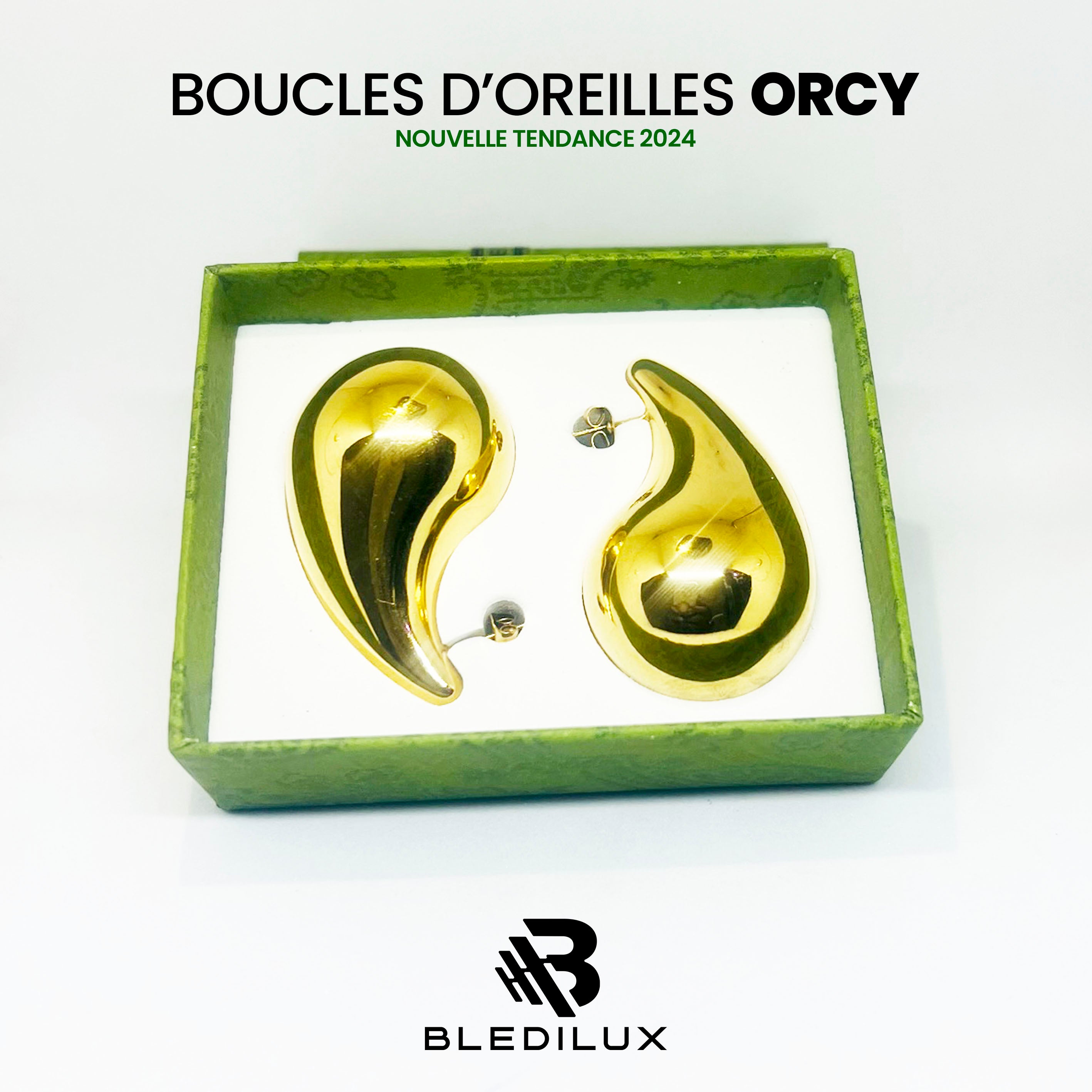 BOUCLES D'OREILLES : ORCY-Gde & Pte TAILLE