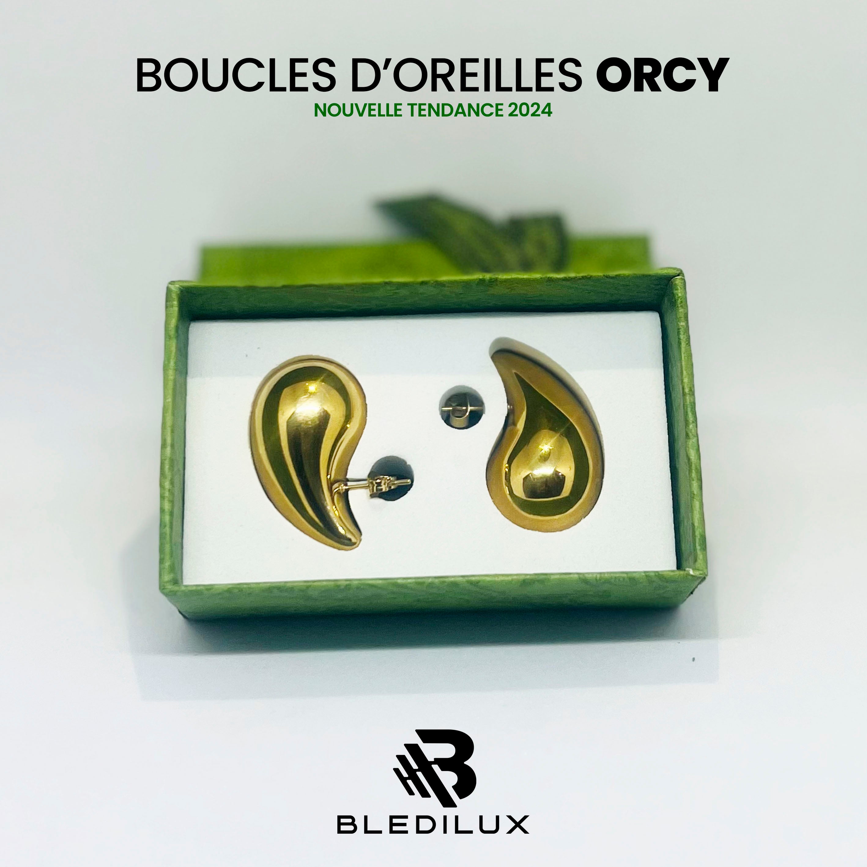 BOUCLES D'OREILLES : ORCY-Gde & Pte TAILLE