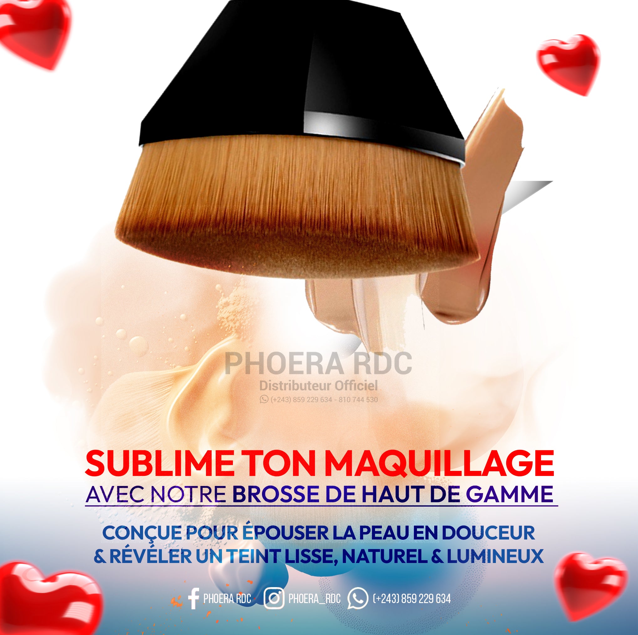 BROSSE PROFESSIONELLE